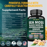 StrongVit polvos de ashwagandha y jengibre resaltando origen natural