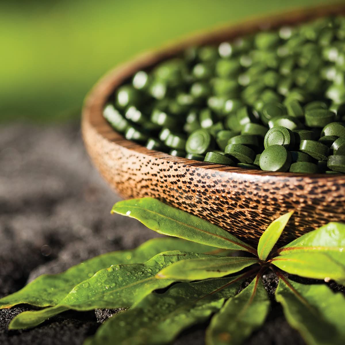 Sun Chlorella servicio diario con vaso de agua listo para tomar