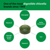 Sun Chlorella polvo pulverizado que muestra pared celular procesada