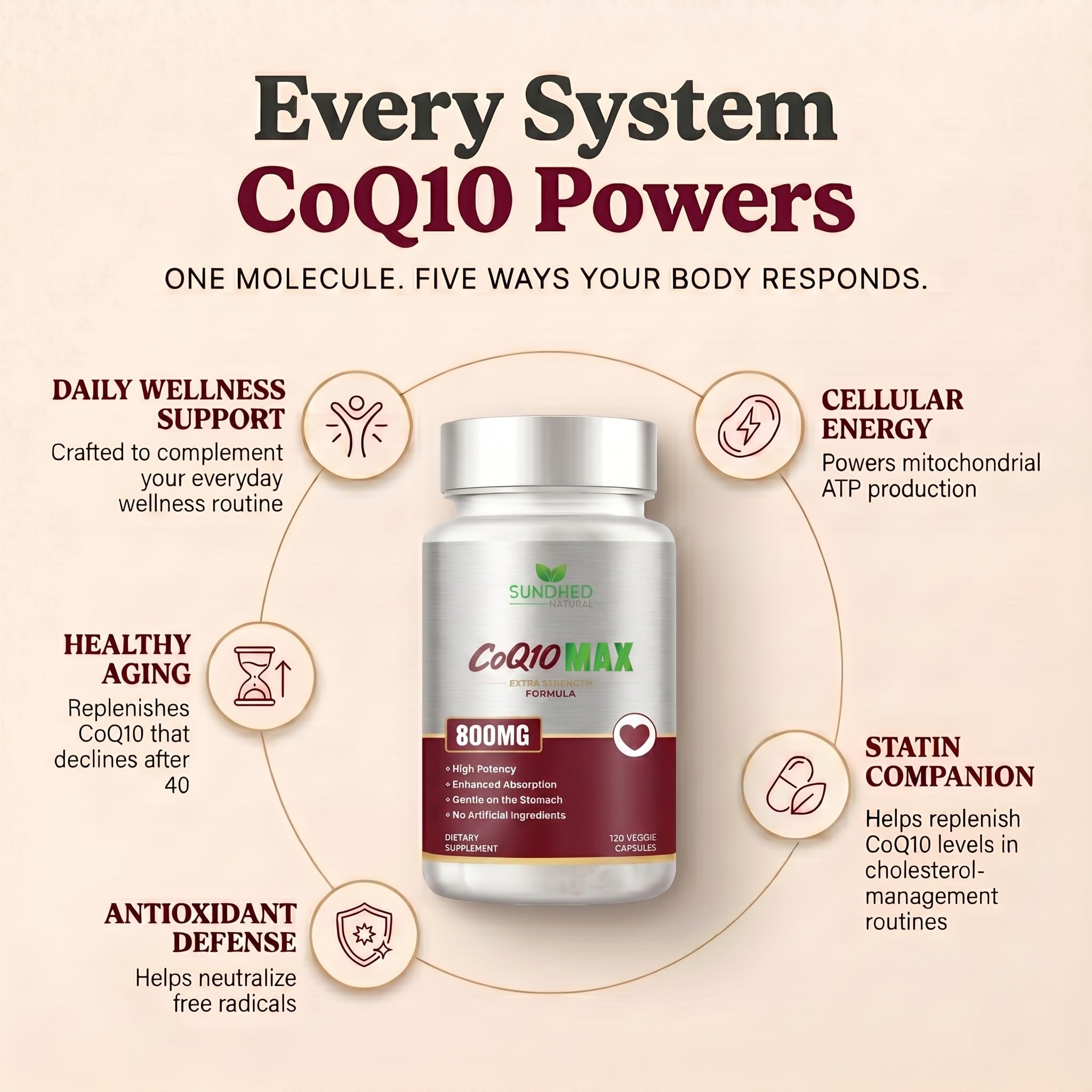 Sundhed Natural polvo de CoQ10 en cápsula abierta para alta absorción