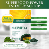 Sunlit Best polvo de chlorella textura fina y aspecto natural