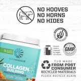 Sunwarrior ingredientes vegetales que aportan péptidos y sílice