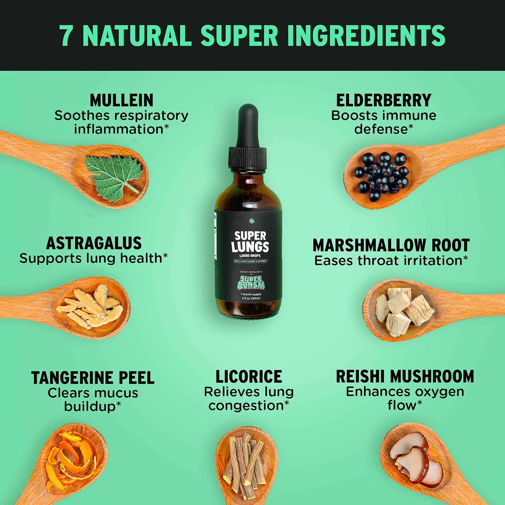 SuperBonsai botella junto a regla para comparar tamaño portátil y práctico