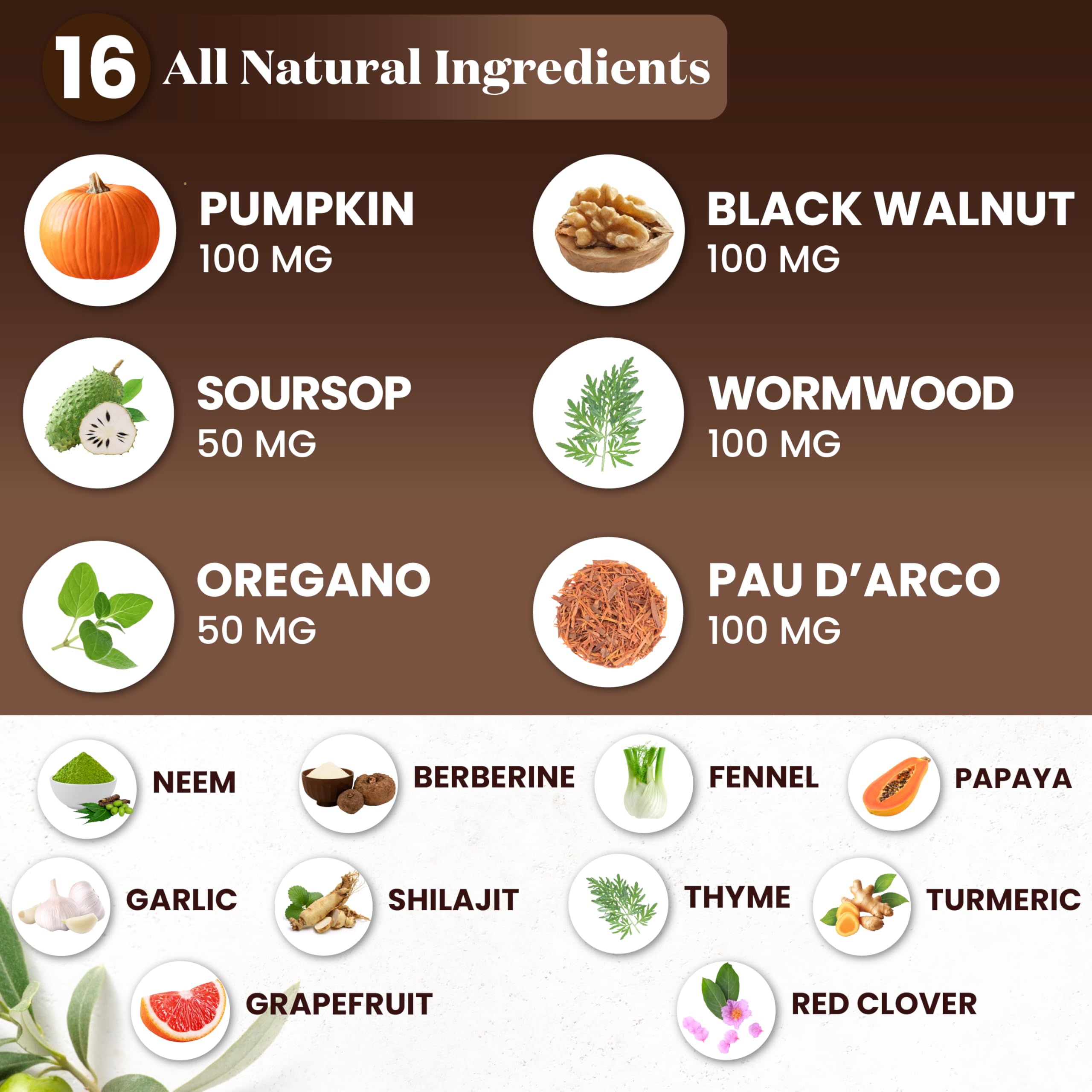 Frasco Superfood MD junto a una regla para comparar tamaño 4 oz