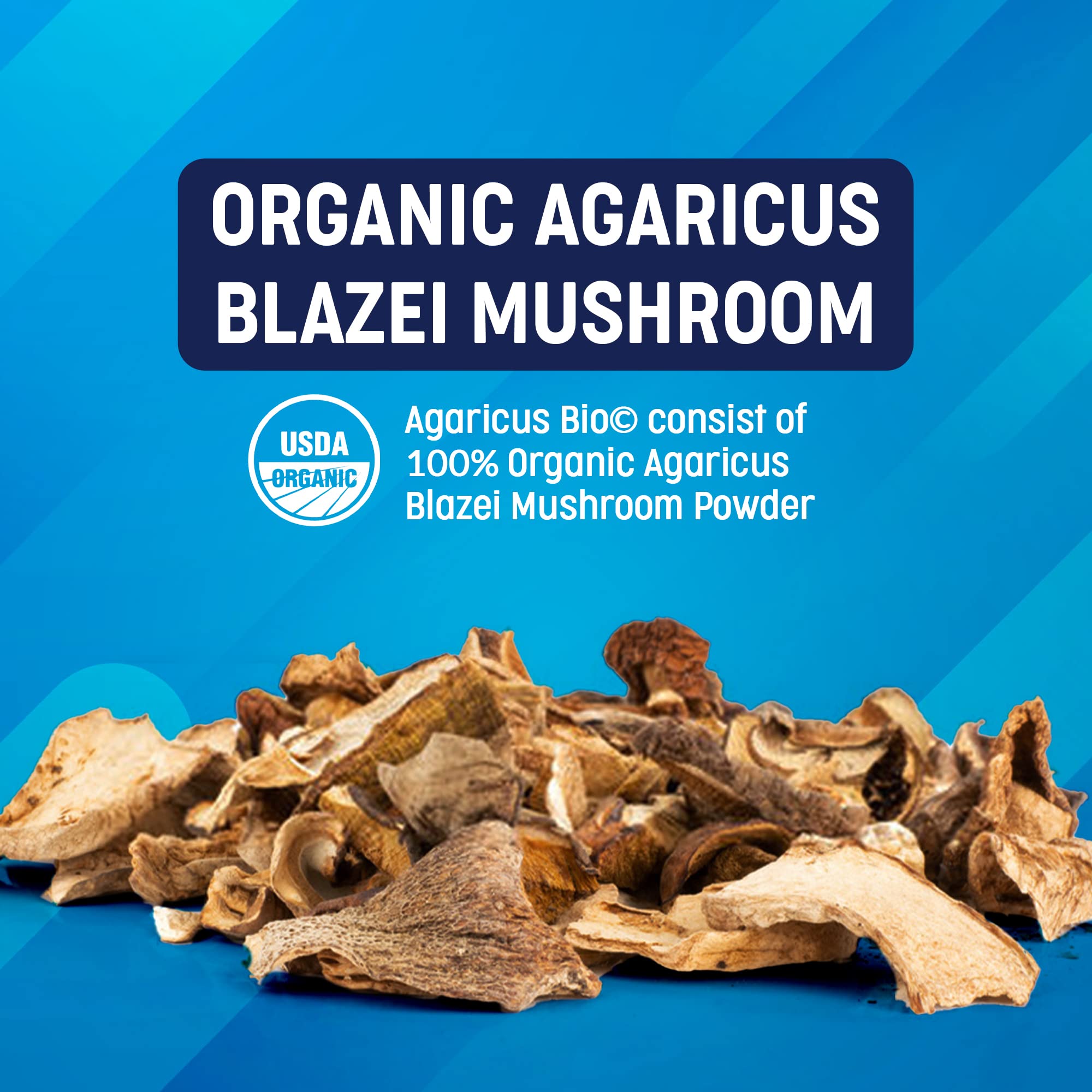 Superfood Science agaricus bio hongo Agaricus Blazei fresco en cultivo que ilustra origen