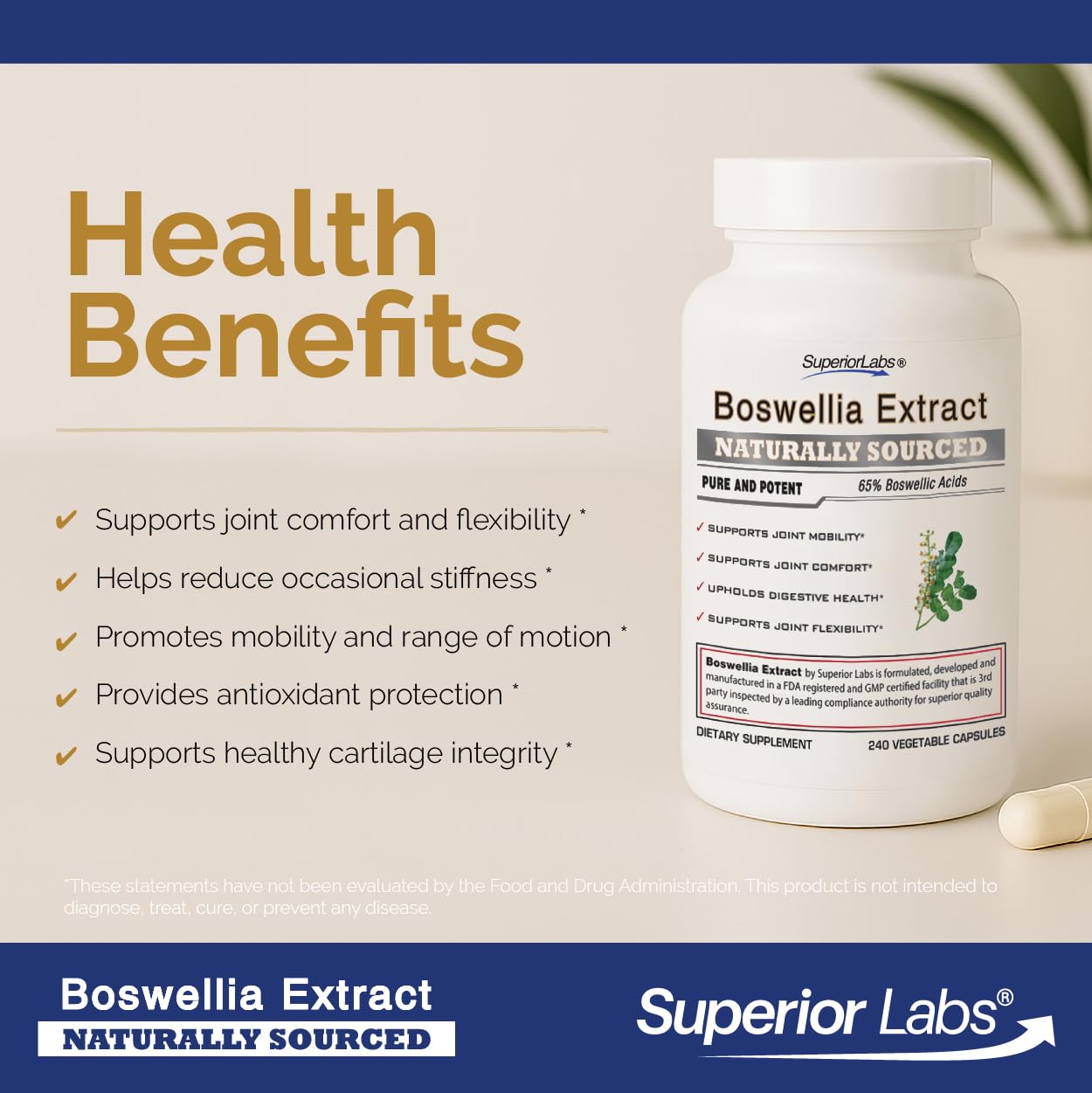 Superior Labs detalle del polvo de extracto que muestra pureza y finura