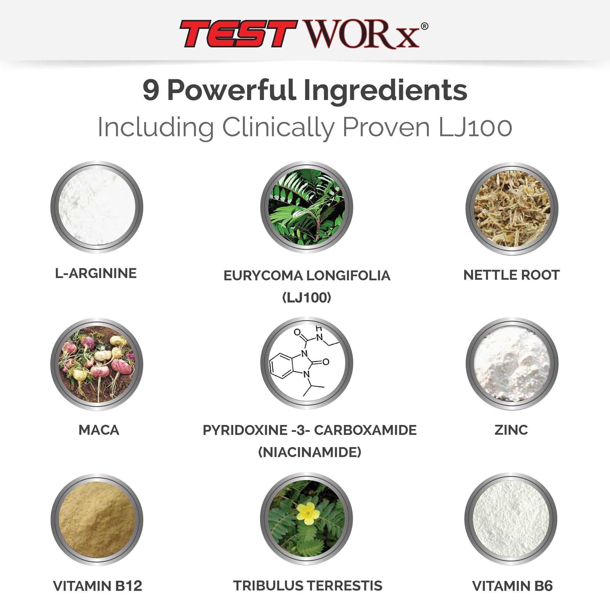 Comparación de tamaño Superior Labs Test Worx para evaluar porción diaria