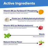 Superior Source detalle de ingredientes activos B-12 B-6 metilfolato