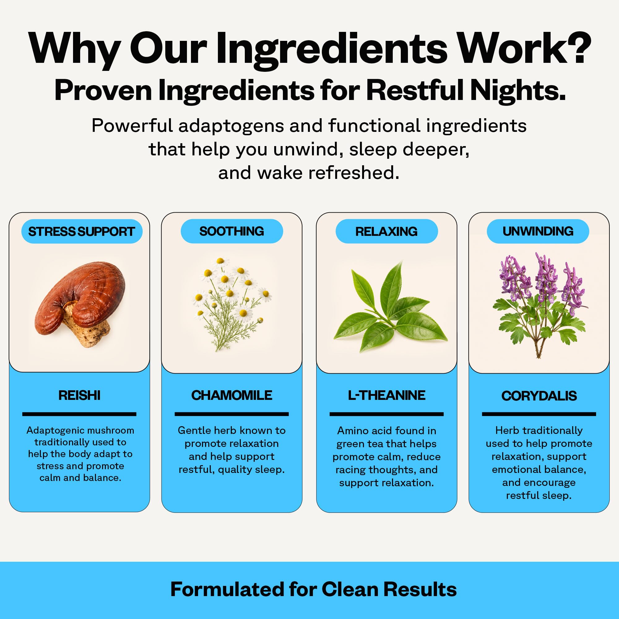 SuperMush ingredientes: Reishi, Chaga y magnesio para apoyo natural