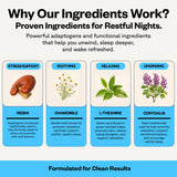 SuperMush ingredientes: Reishi, Chaga y magnesio para apoyo natural