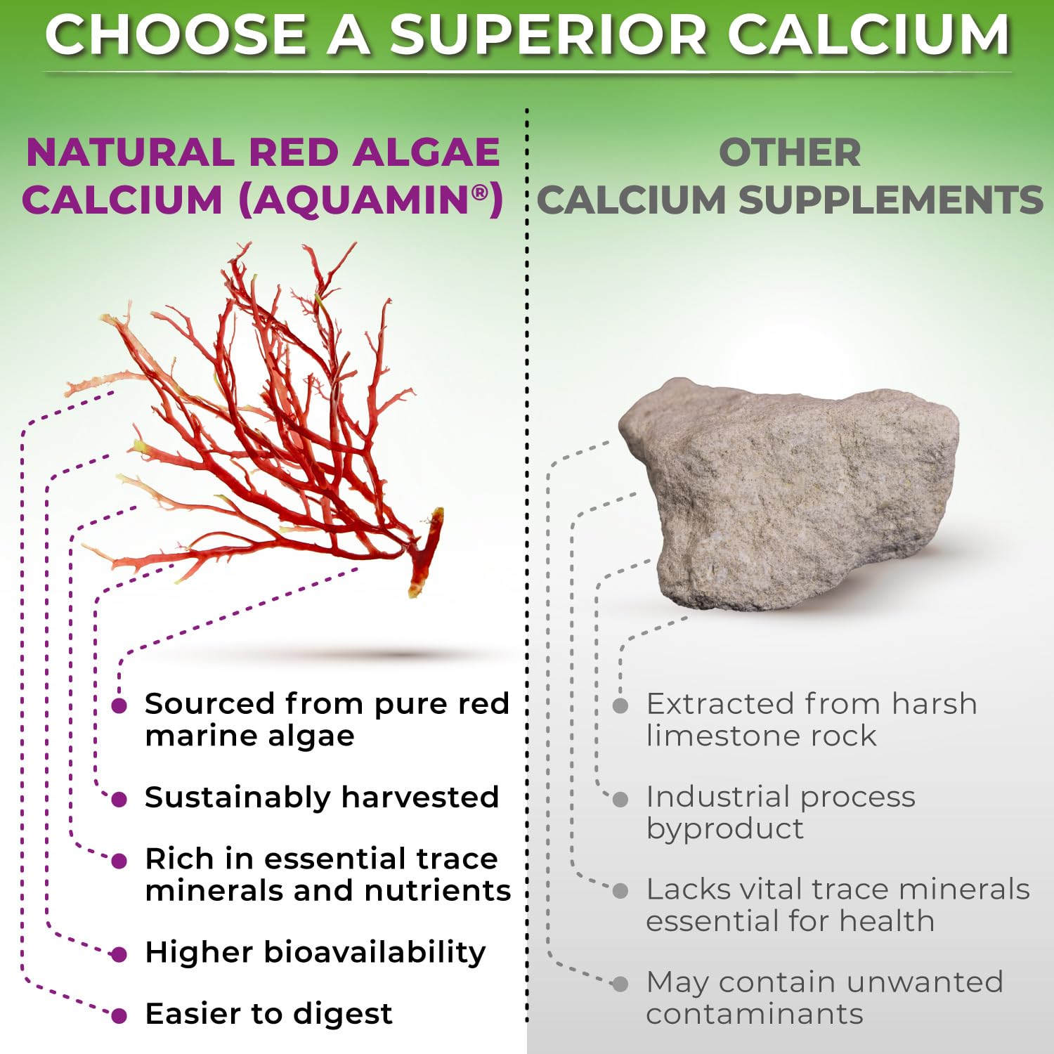 SUPPLEMENTS STUDIO primer plano de la textura de la cápsula vegana fácil digestión