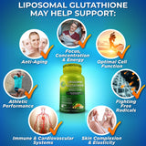 SUPPLEMENTS STUDIO producto en cocina junto a alimentos frescos para contexto de bienestar