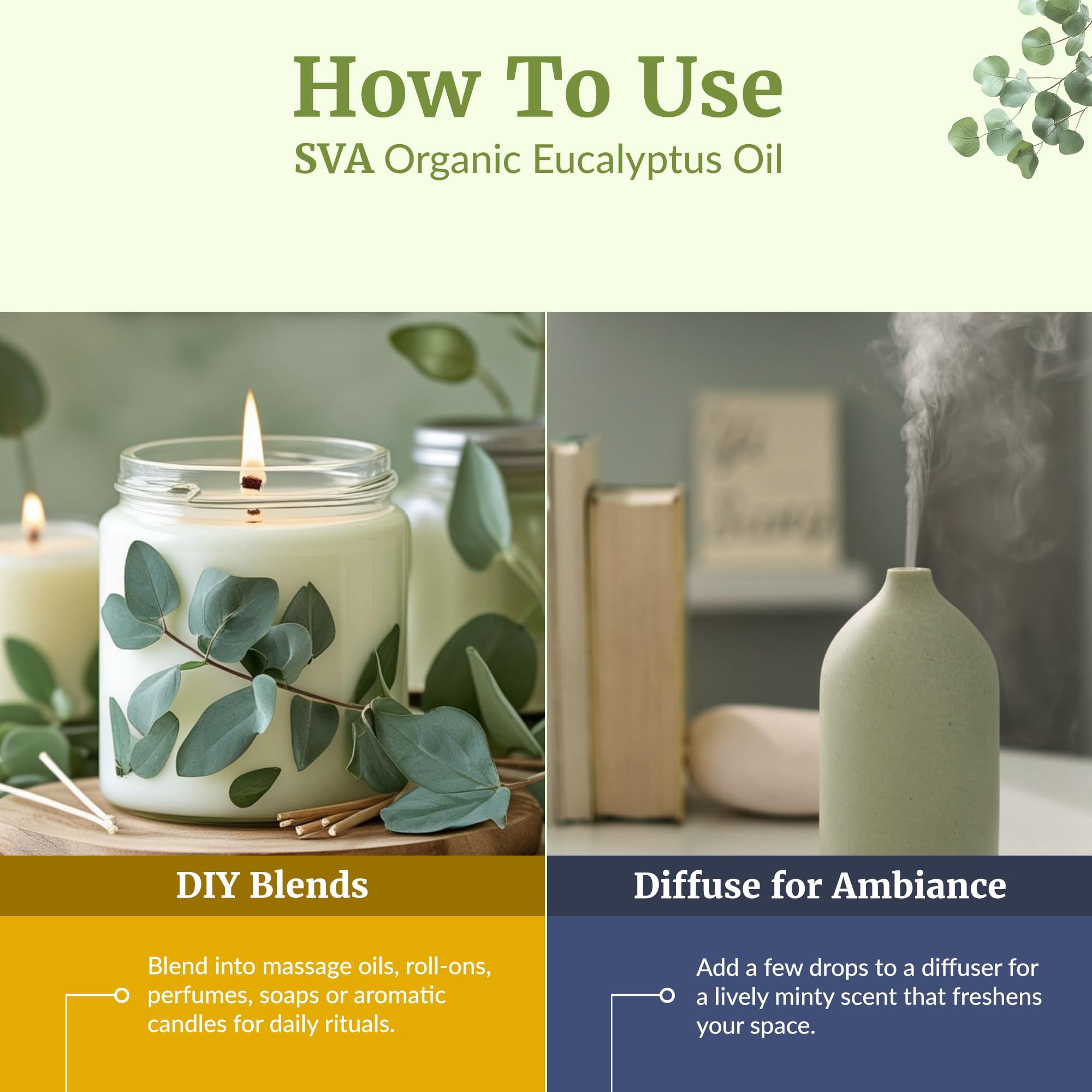 SVA ORGANICS junto a una taza para mostrar escala y volumen del envase
