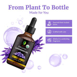 SVA ORGANICS aceite en difusor generando vapor aromático para ambiente acogedor
