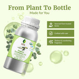 SVA ORGANICS en difusor doméstico creando ambiente fresco y revitalizante