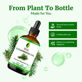 SVA ORGANICS envase en cocina; ambienta espacios con aroma amaderado