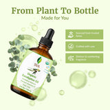 SVA ORGANICS aceite en difusor encendido, ambiente fresco y aromático