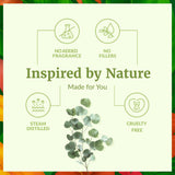 SVA ORGANICS gota de aceite de eucalipto en superficie, textura pura y limpia