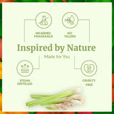 SVA ORGANICS gotas en difusor mostrando aroma disperso eficazmente