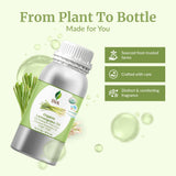 SVA ORGANICS mano sosteniendo la botella para comparar tamaño
