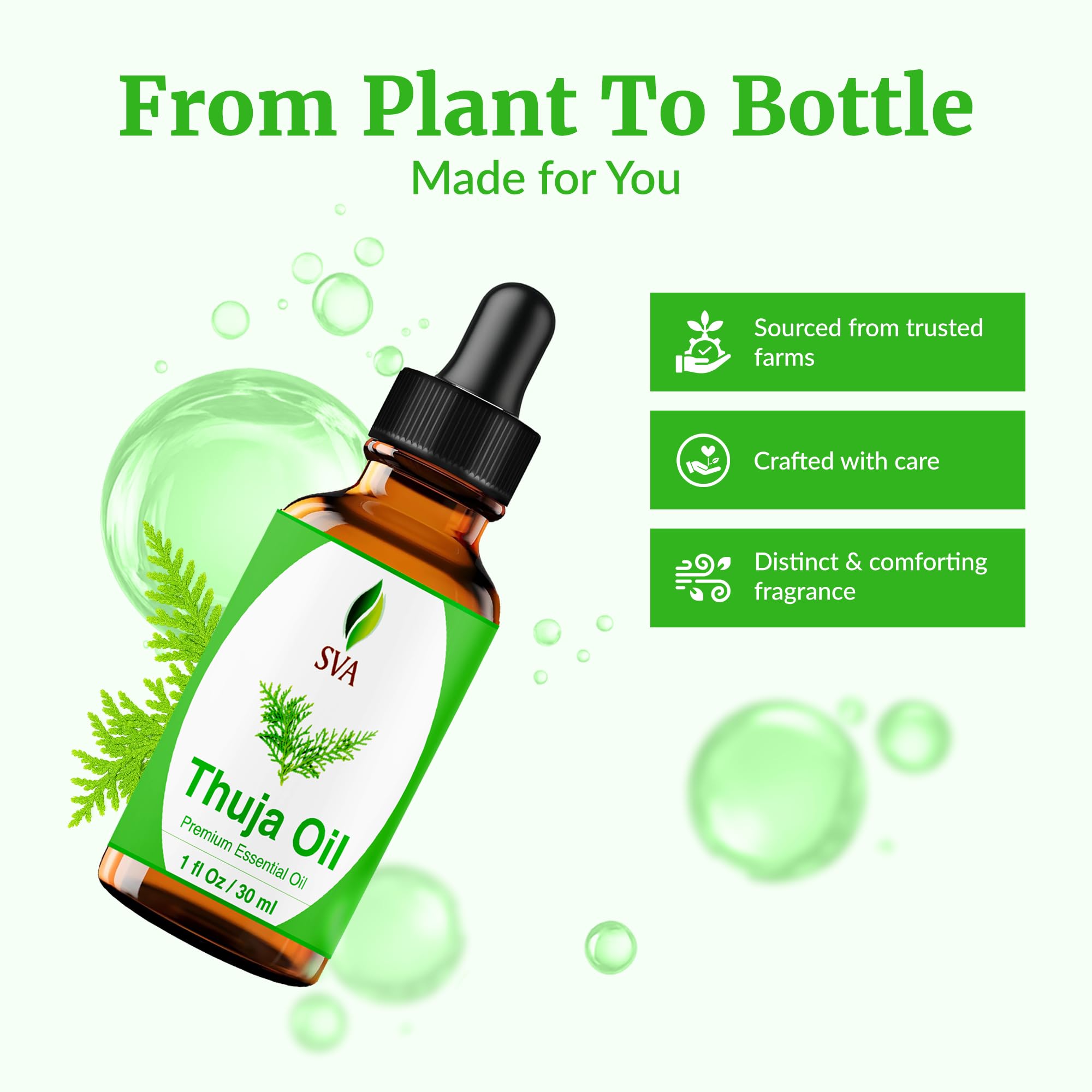 SVA ORGANICS Thuja en difusor produciendo aroma en un salón