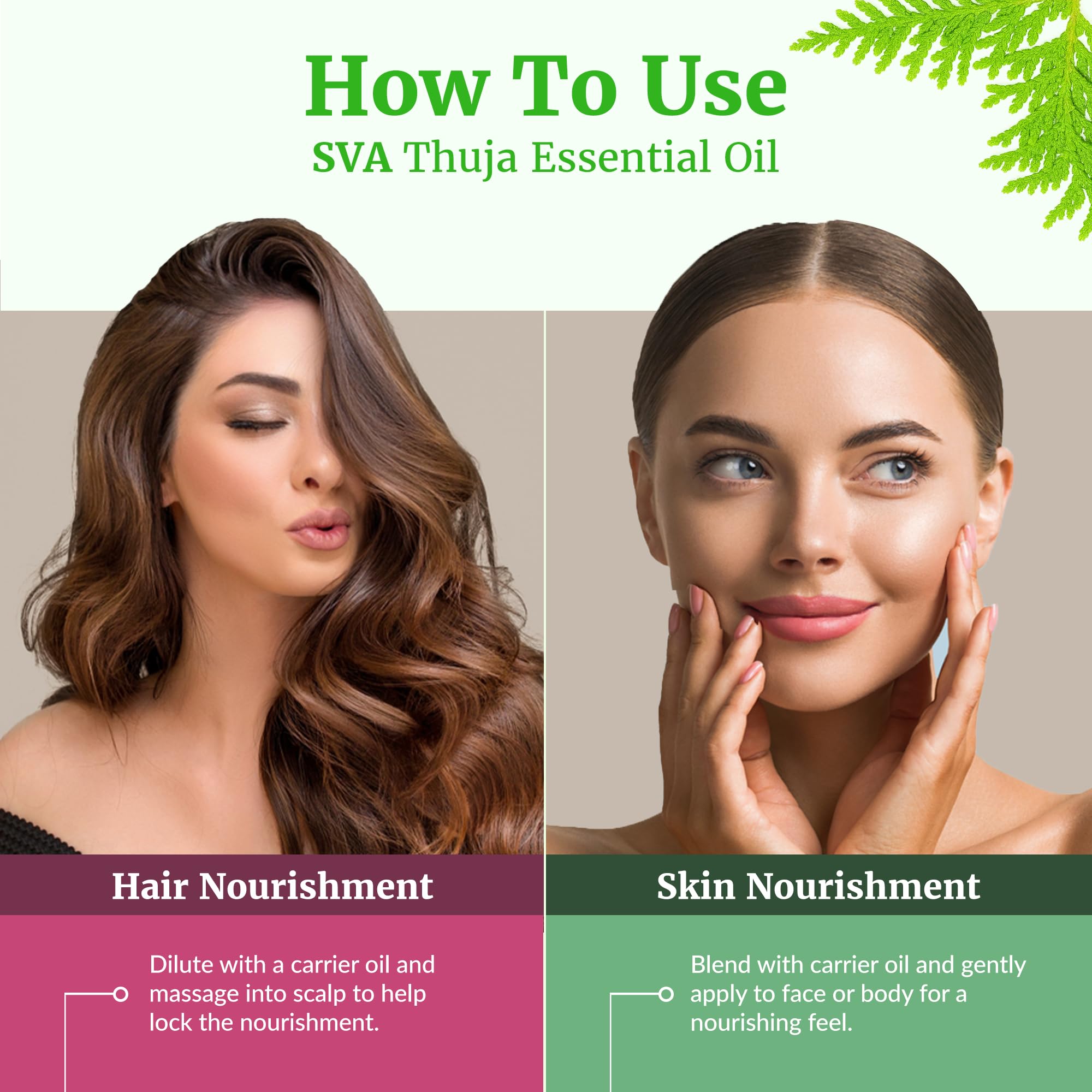 SVA ORGANICS mezcla de Thuja con aceite portador lista para masaje