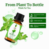 SVA ORGANICS aceite en difusor ambienta espacios de forma natural