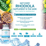 swiss bioenergetics etiqueta con ingredientes y porcentajes estandarizados