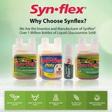 Contenido del paquete Synflex mostrando botella y información de producto