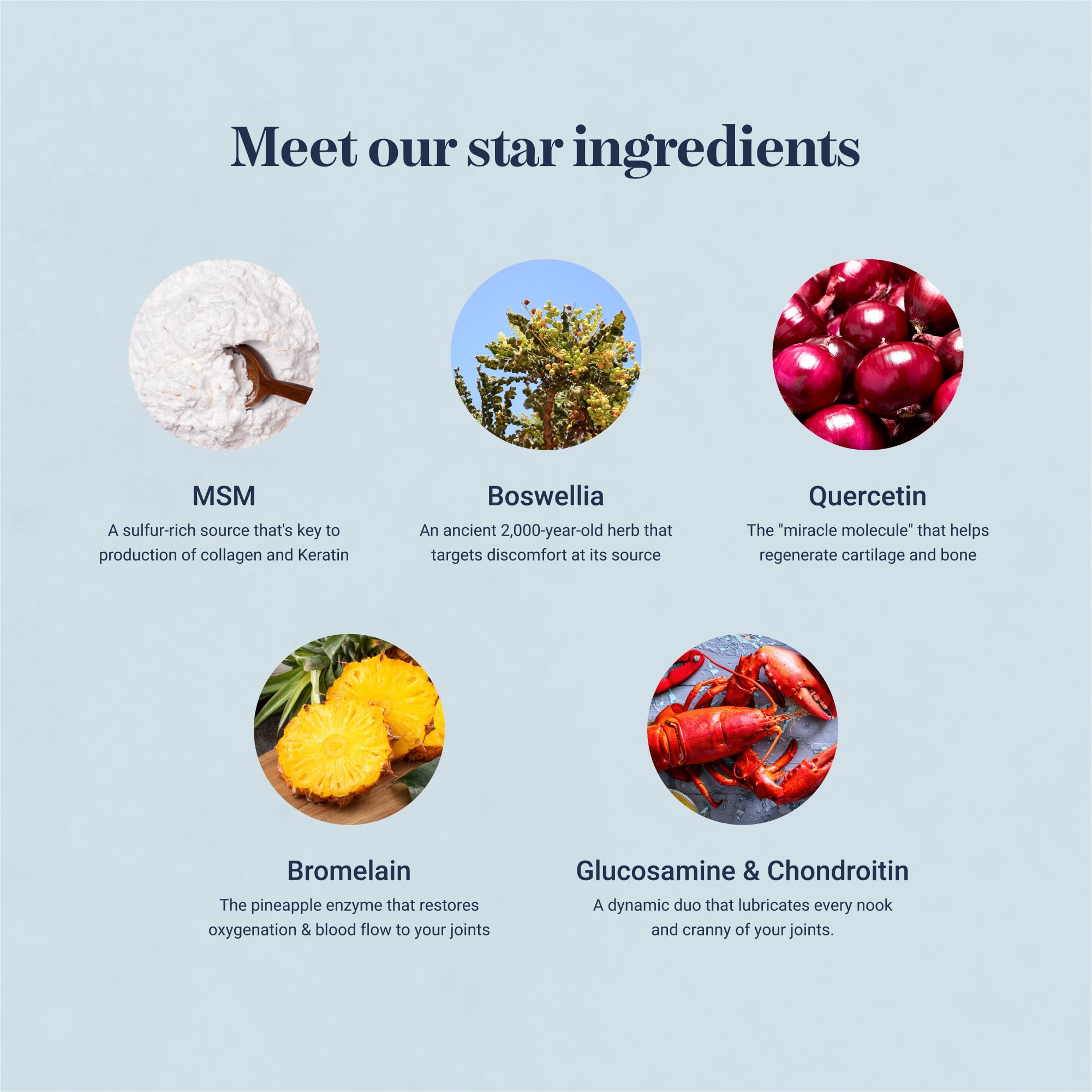 Synocell envase con lista de ingredientes visibles para mayor confianza