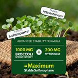 SYZY GENICS etiqueta con ingredientes y dosificaciones visibles