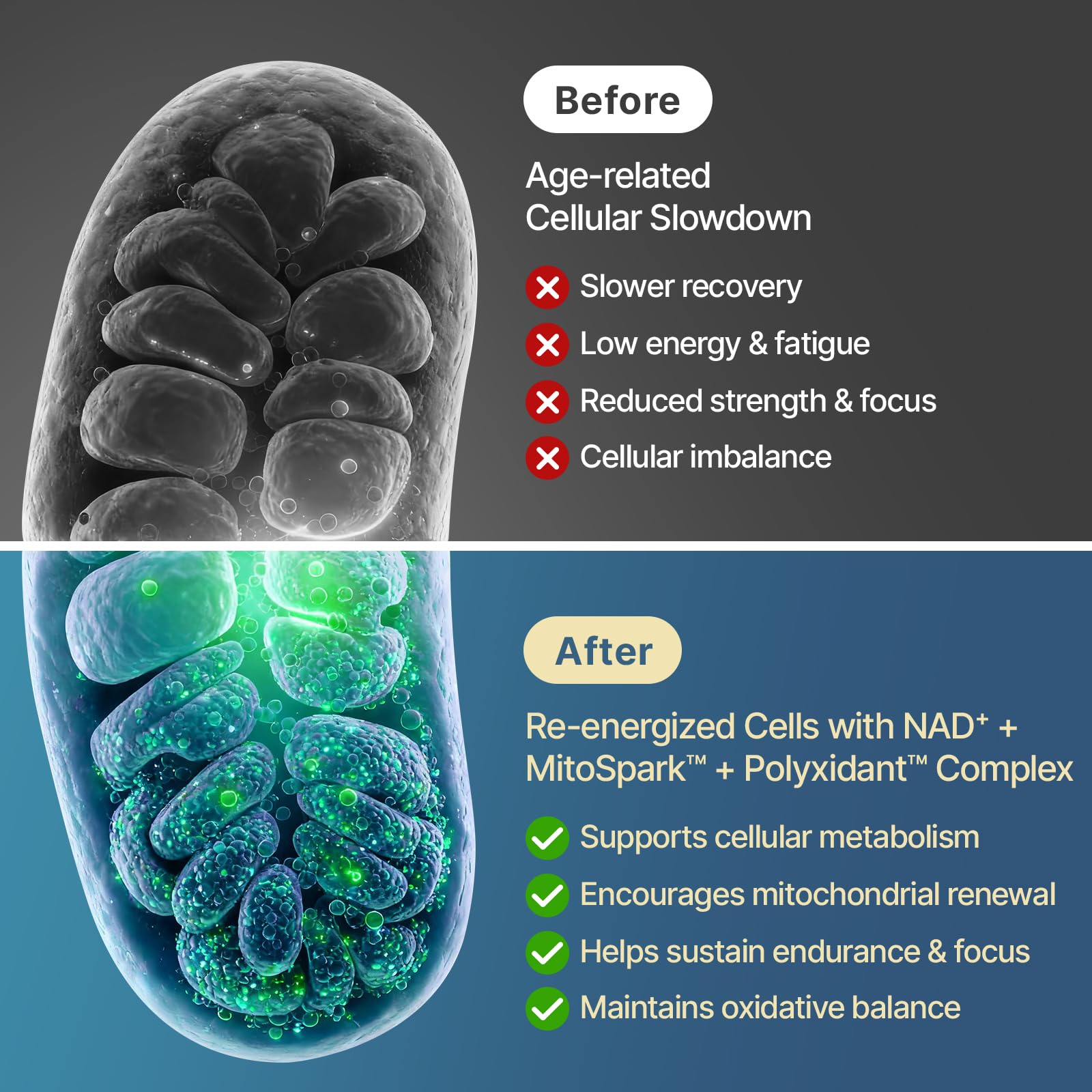 SYZY GENICS blíster con softgels protegiendo frescura y portabilidad