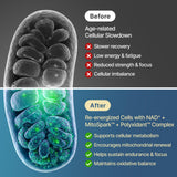 SYZY GENICS blíster con softgels protegiendo frescura y portabilidad