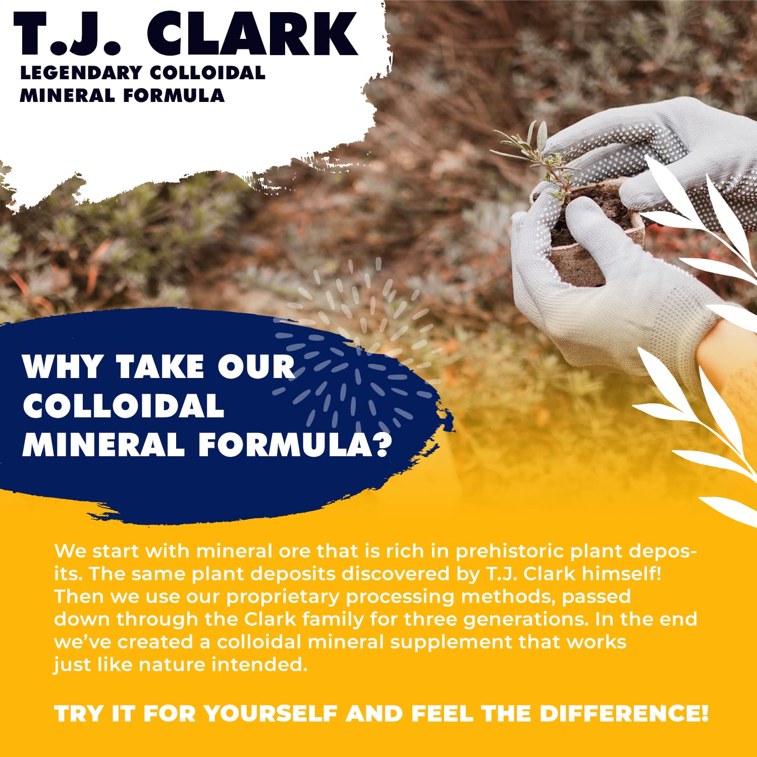 T.J. Clark etiqueta con lista de minerales y sin alérgenos visibles