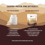 Taha Health & Nutrition helado proteico casero hecho con el polvo, receta alta en proteína