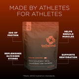 Polvo Tailwind Recovery textura fina que facilita mezcla rápida y digestión ligera