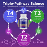 mezcla de ingredientes kelp y extractos, Talyvorlathor que respalda producción hormonal
