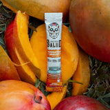 Taste Salud escena de picnic mostrando sabor mango y experiencia refrescante