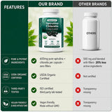 Teaveli polvo de spirulina-chlorella mostrando color y consistencia nutritiva