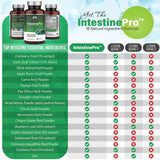 Teraputics IntestinePro cápsula detalle que resalta textura vegetal y fácil ingestión