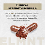 TERRA ELMNT etiqueta con lista de ingredientes y potencias claras y legibles