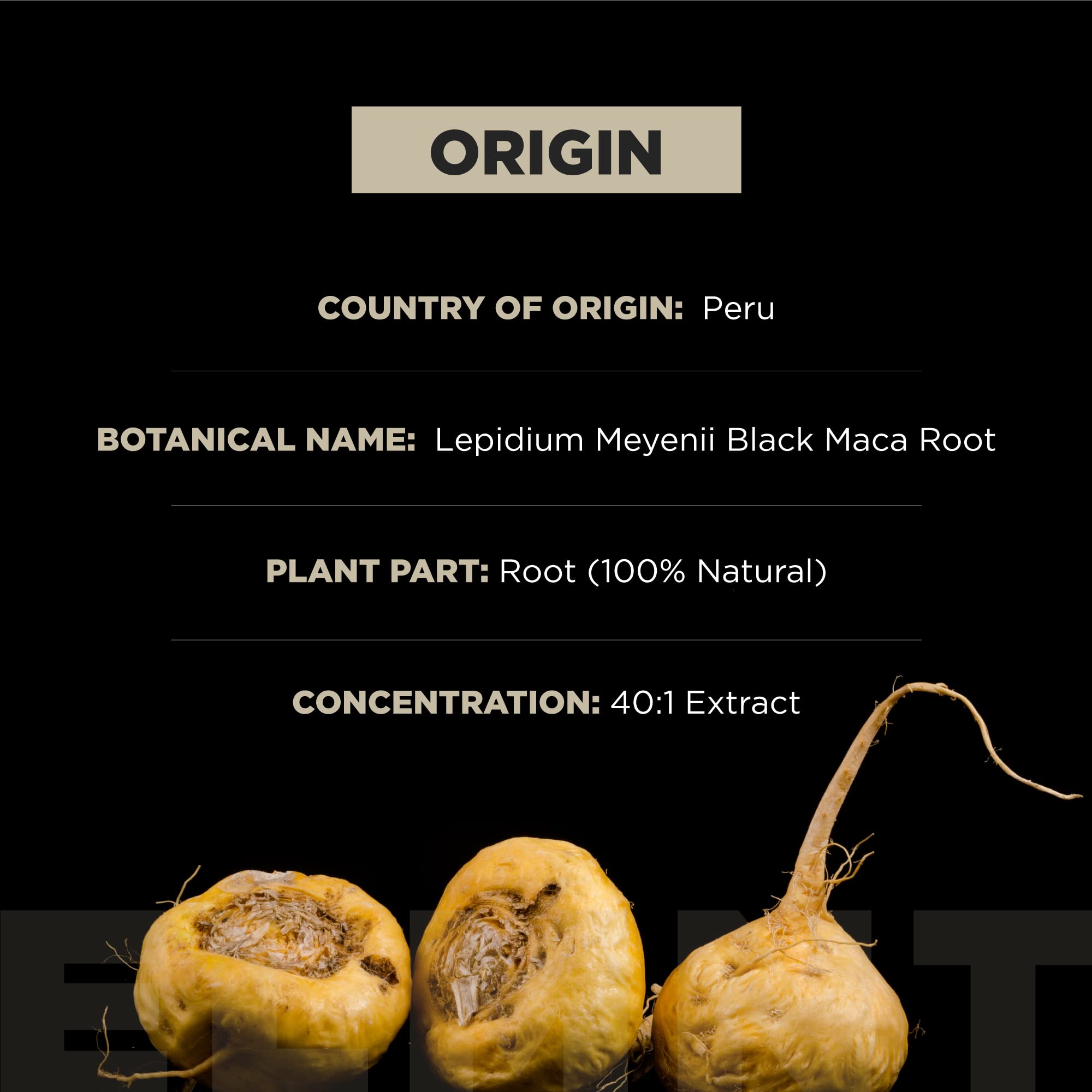 TERRA ELMNT raíces de maca mostrando origen peruano y calidad orgánica