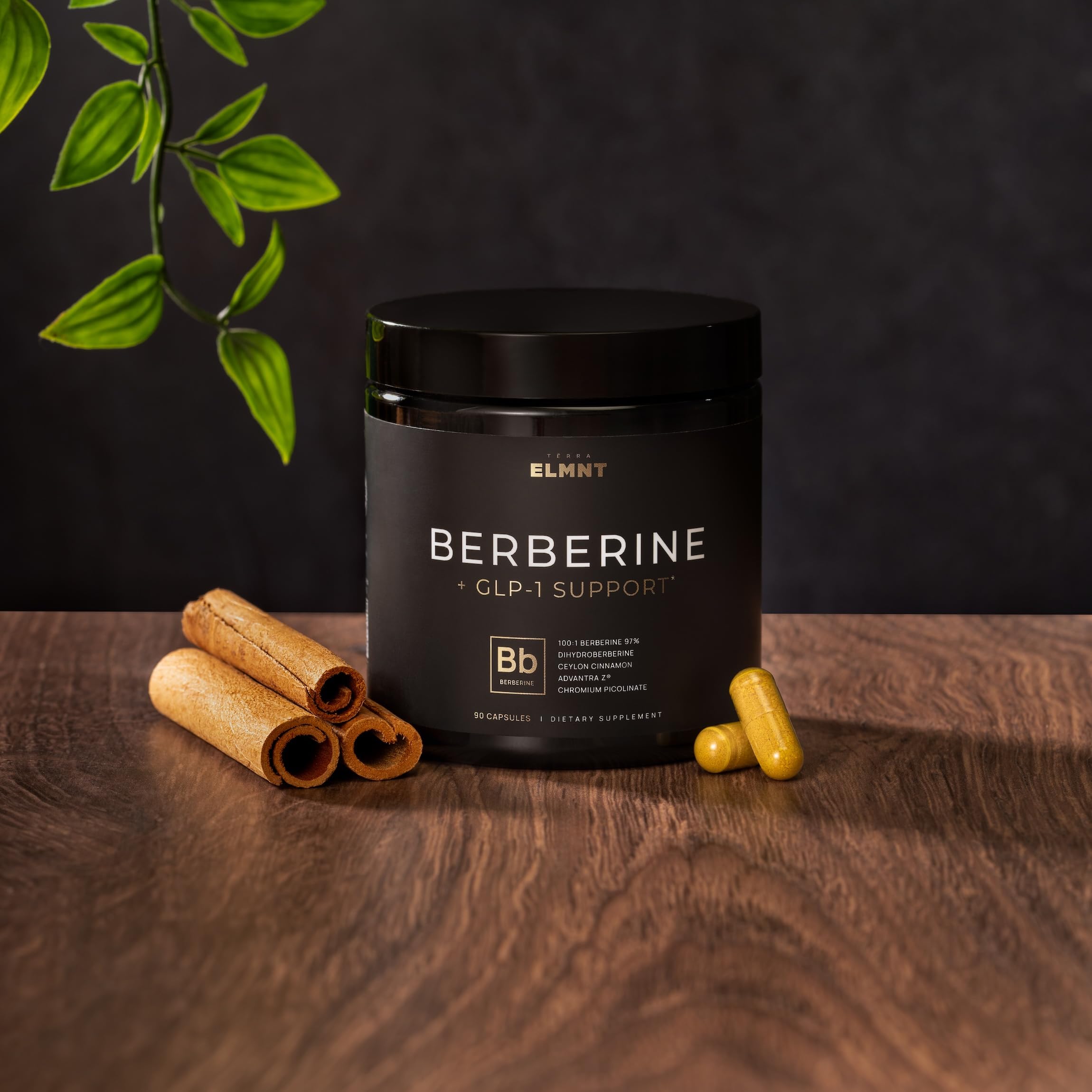 TERRA ELMNT polvo de berberina y dihydroberberine en primer plano