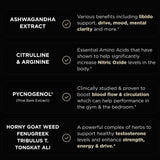 TERRA ELMNT ingredientes medidos destacando extractos activos y potencia