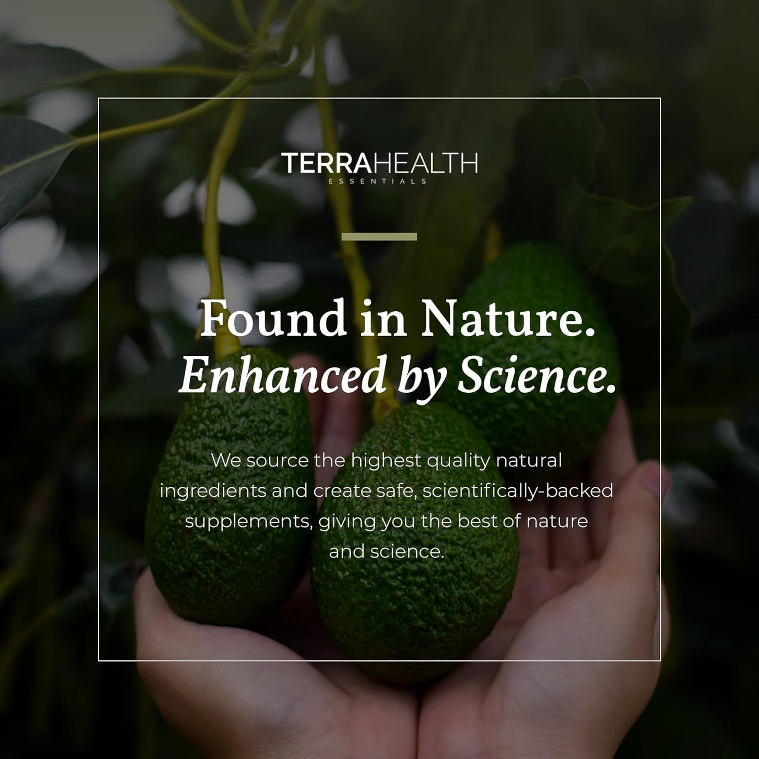Caja y frasco Terra Health juntos, presentación completa y lista para almacenar