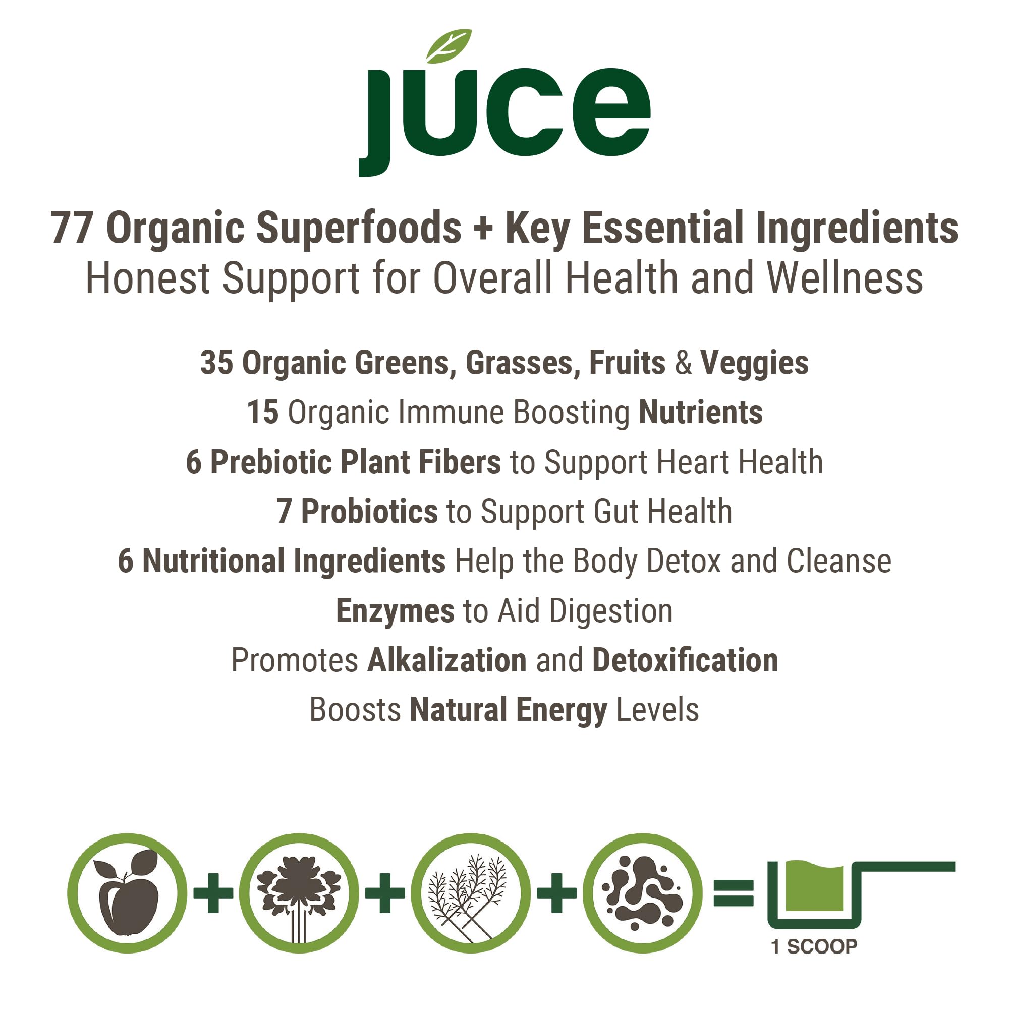 Terra Kai Organics close-up mezcla de hongos orgánicos beneficios funcionales
