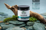 TERRA ORIGIN etiqueta nutricional clara sin azúcares ni gluten