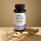 TERRA ORIGIN ingredientes primarios en bol destacando apoyo intestinal