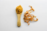Terrasoul Superfoods detalle del polvo de cordyceps mostrando textura fina