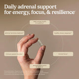 Ficha nutricional de Terry Naturally Adrenaplex que facilita comprobación de dosis